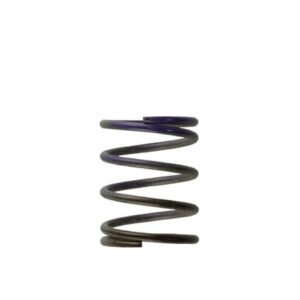 Turbosmart Gen4 / IWG WG38/40/45/50L 7PSI MIDDLE SPRING - BROWN/PURPLE