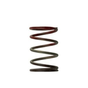 Turbosmart Gen4 / IWG WG38/40/45/50L 11PSI MIDDLE SPRING - BROWN/RED
